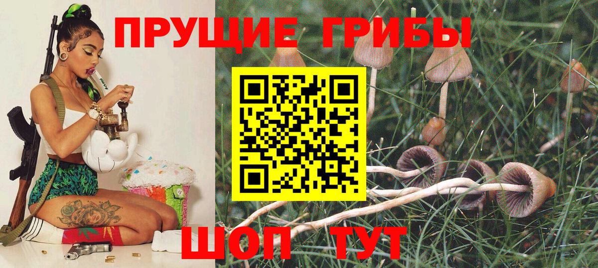 Псилоцибиновые грибы ЛСД  Вход с VPN  Богданович 